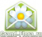 Логотип компании Доставка цветов Гранд Флора (ф-л г.Кингисепп)